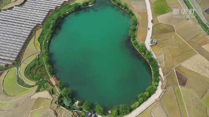 稻田新插，這里的山村美翻了！