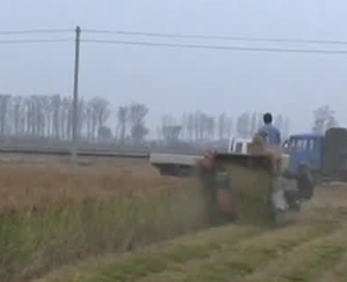 中央財(cái)政加大對產(chǎn)糧大縣農(nóng)業(yè)保險支持力度