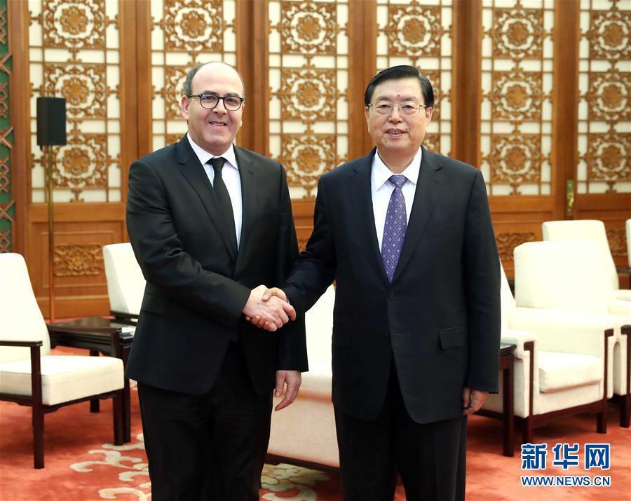 12月20日，全國人大常委會委員長張德江在北京人民大會堂會見摩洛哥參議長本希馬。新華社記者劉衛(wèi)兵攝