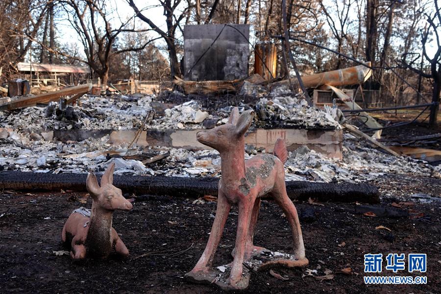 （國際&middot;圖文互動(dòng)）（6）一場山火，讓這個(gè)冬天格外冷&mdash;&mdash;探訪美國加州山火災(zāi)區(qū)