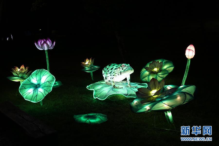 (國(guó)際)(3)自貢彩燈閃耀羅馬尼亞錫比烏國(guó)際戲劇節(jié)