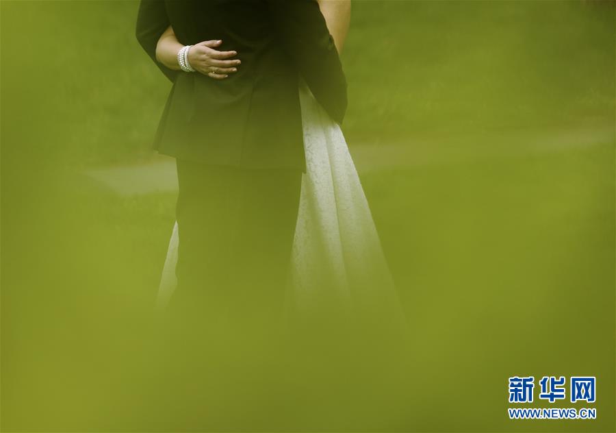 （國(guó)際&middot;年終報(bào)道）（13）2019，精&ldquo;彩&rdquo;紛呈