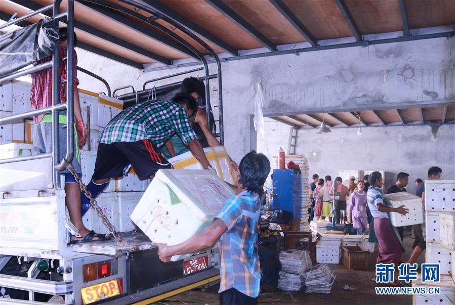 （新華全媒頭條&middot;圖文互動）（7）中國&mdash;東盟自貿(mào)區(qū)：&ldquo;黃金十年&rdquo;塑造世界經(jīng)貿(mào)新格局