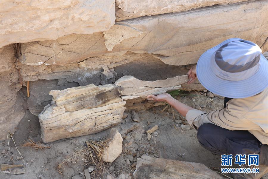 （國際&middot;圖文互動）（8）疫中考古&mdash;&mdash;中國與埃及首次聯(lián)合考古取得階段性成果