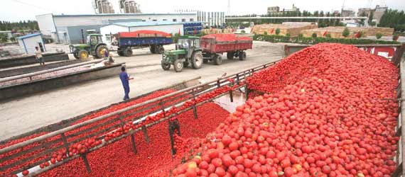 中國(guó)推動(dòng)構(gòu)建共贏、互信、發(fā)展的新絲綢之路