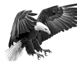 誰是世界秩序的真正破壞者？