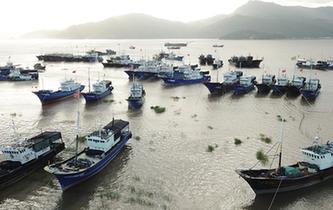 浙江蒼南：全力以赴應(yīng)對臺風(fēng)&ldquo;瑪莉亞&rdquo;