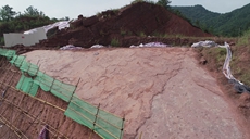 &ldquo;恐龍舞池&rdquo;現(xiàn)身福建上杭