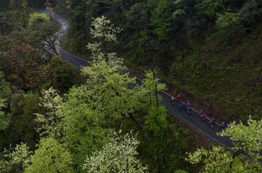 周末&ldquo;森&rdquo;呼吸