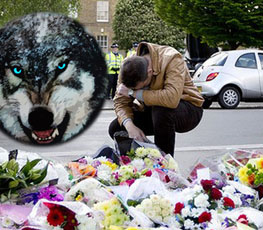 血案頻發(fā) "獨(dú)狼"緣何兇猛？