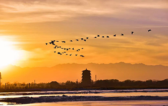 你想看的風(fēng)景，這里都有